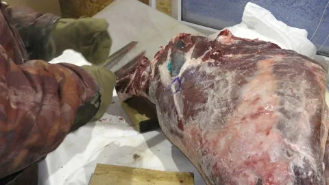 A man cuts a deer carcass into pieces.  Healthy food concept 動画素材 146005908