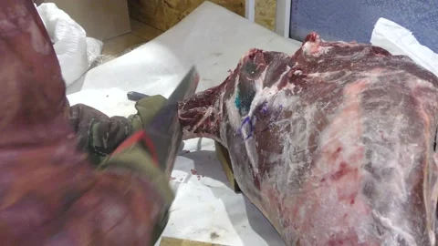 A man cuts a deer carcass into pieces.  Healthy food concept Video stock 146006165
