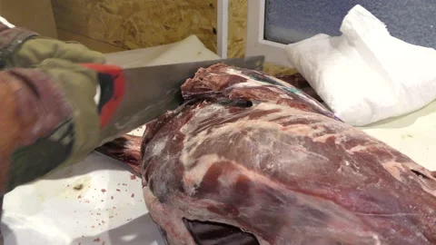 A man cuts a deer carcass into pieces.  Healthy food concept Stock Footage 146006960