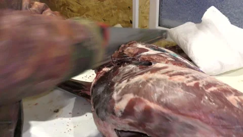 A man cuts a deer carcass into pieces.  Healthy food concept 스톡 동영상 146007049