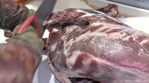 A man cuts a deer carcass into pieces.  Healthy food concept Vídeos de archivo 146008430