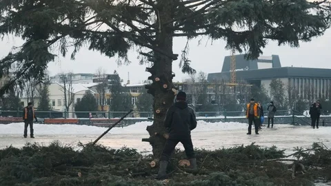 A man cuts down a Christmas tree in the city center. Tree fall. Slow moton. 4k Stockbeeldmateriaal 103285130