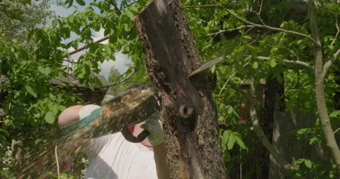 A man cuts down a dried-up apple tree in a garden. A strong lumberjack in a Stock Footage 326651318