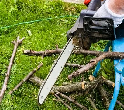A man cuts down a tree with an electric saw. Sawdust flies in all directions  Foto stock