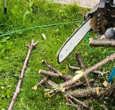 A man cuts down a tree with an electric saw. Sawdust flies in all directions  Stock Photos