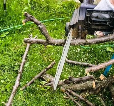 A man cuts down a tree with an electric saw. Sawdust flies in all directions  Foto stock