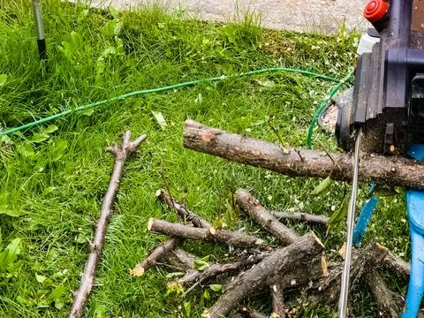 A man cuts down a tree with an electric saw. Sawdust flies in all directions  Stock Photos