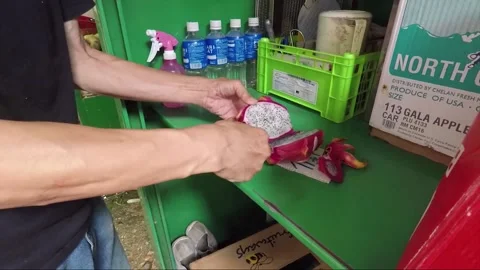 Man cuts dragon fruit or pitaya for sale, Fruit Market, Kowloon, Hong Kong Vidéo 220505146