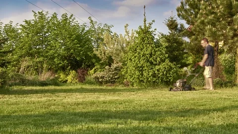 Man cuts grass in the garden time lapse  스톡 동영상 89390287