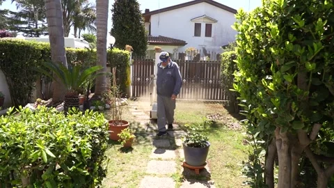 A man  cuts grass with a lawnmower Video stock 244858137