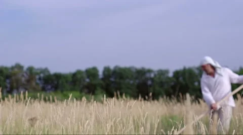 The man cuts the grass plait. Stock Footage 54413799