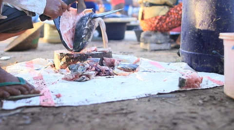 A Man Cuts a Large Fish Head in Half using an Axe 1080 Stock-Footage 40476355