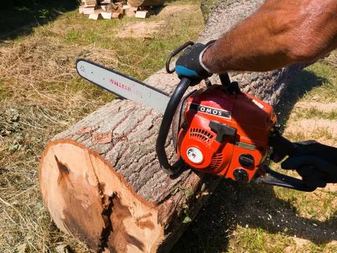 A man cuts a log with a chainsaw, preparing firewood for winter Stock Photos