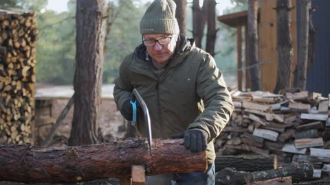 Man cuts log with handsaw in forested area during early morning hours Stock Footage 313516260
