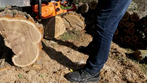 A man cuts logs with a chainsaw. Stock Footage 219731317