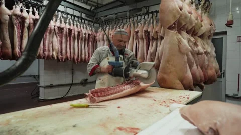 A man cuts meat. Meat line. Meat conveyor Stock Footage 252267958