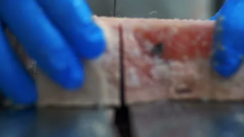 Man cuts meat into pieces using special equipment Stock-Footage 93265208