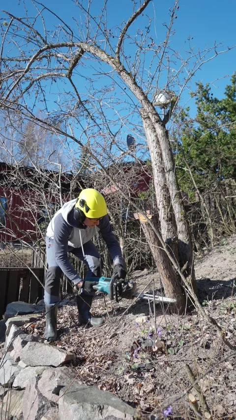 Man cuts old tree with chainsaw in backyard Stock Footage 308515369