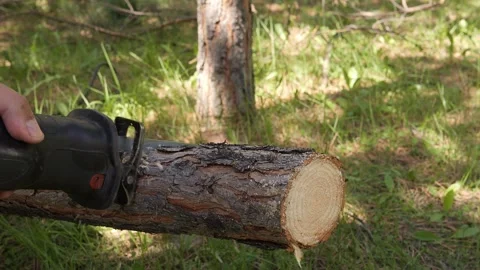 A man cuts an old tree with an electric saw. Electric saw effectively cuts Stock Footage 278274401