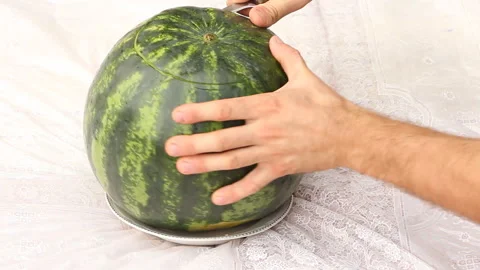 A man cuts a red, ripe and juicy watermelon Stock Footage 265199656