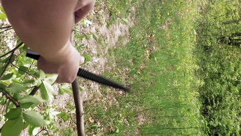 Man cuts saws tree branch in green summer forest Stock-Footage 91178552