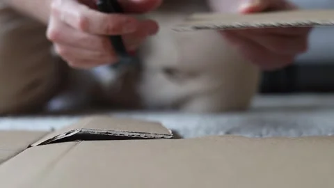 Man cuts a sheet of cardboard with scissors. Video stock 280306542