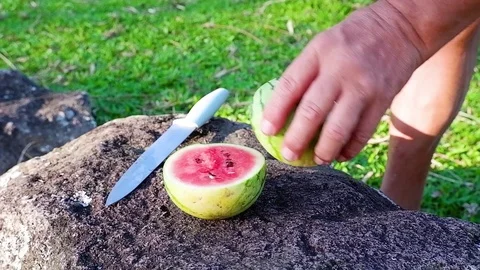 Man cuts a small watermelon on a stone. Video stock 122368265
