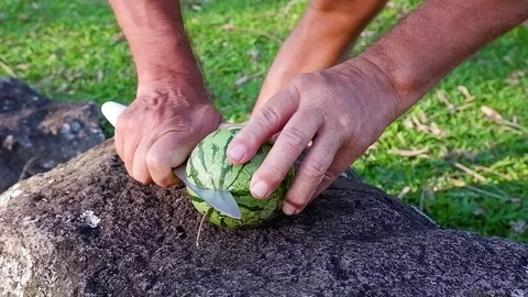 Man cuts a small watermelon on a stone. Video stock 122369179