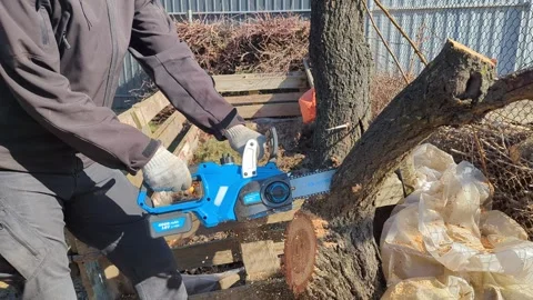 Man cuts a tree from the chainsaw in the winter Stock Footage 267689848