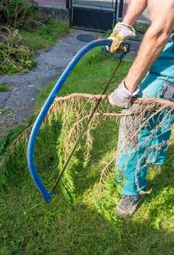 A man cuts a tree trunk with a hand saw Stock Photos
