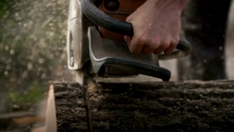 A man cuts trees with electric chainsaw, Lumberjack to cut branches while Stockbeeldmateriaal 336570472