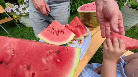 A man cuts a watermelon outside. Stock Footage 314399997