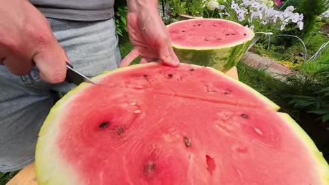 A man cuts a watermelon outside. Stock Footage 314399999