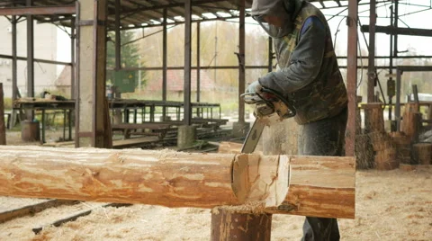 Man cuts wood chainsaw for future home. Protective face mask on the face of the Stock Footage 69063419