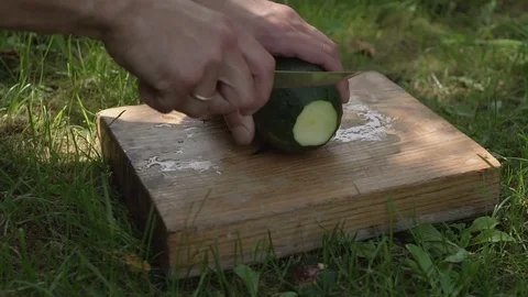 Man cuts zucchini carefully close up Stock Footage 80244796