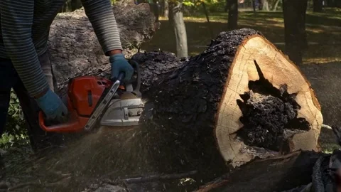 Man cutting and pruning tree branches and trunks with a chainsaw machine Cutting Stock-Footage 336570287
