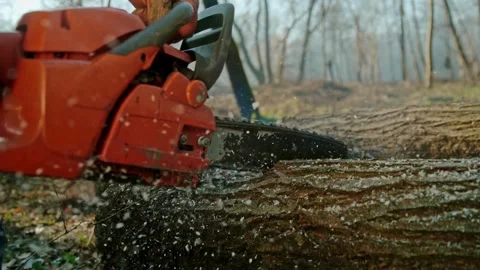 Man cutting and pruning tree branches and trunks with a chainsaw machine Cutting Stock Footage 336570323