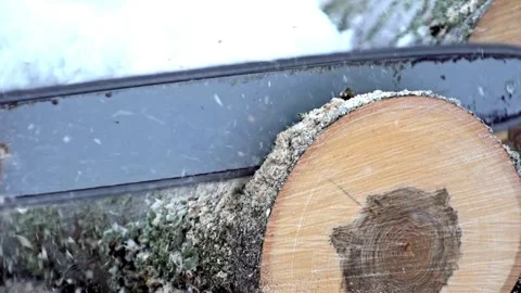 Man cutting and pruning tree branches and trunks with a chainsaw machine Cutting Stock Footage 336570455