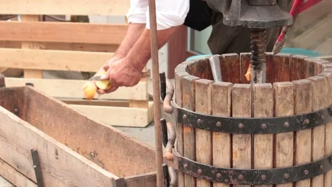 Man cutting apples Stock Footage 116608614