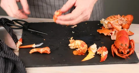 Man cutting the claw of lobster Stock Footage 104702896