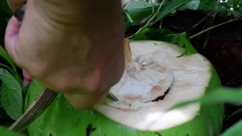 A man is cutting a coconut. Video stock 137939390