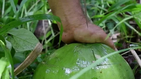 A man is cutting a coconut. Video stock 137940029