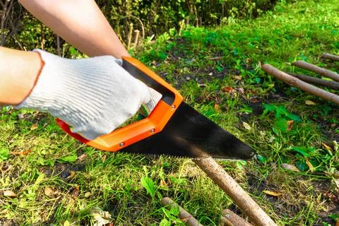 Man cutting down a tree in the garden. Foto stock