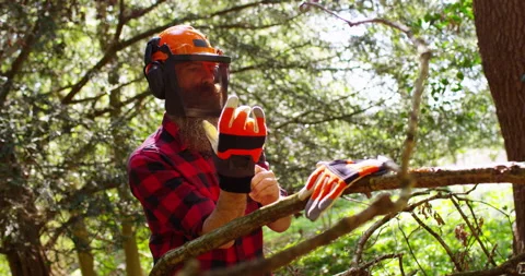 Man Cutting Firewood With Chainsaw. Stock Footage 154433011