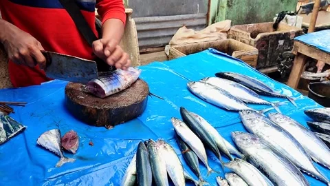 Man cutting fish Stock Footage 207938229