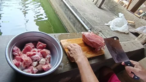 Man Cutting Fresh Beef by the Fish Pond with Green Surroundings in Daylight Stock Footage 287268795