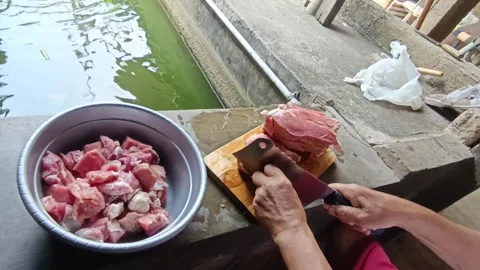 Man Cutting Fresh Beef by the Fish Pond with Green Surroundings in Daylight Stock Footage 287268803