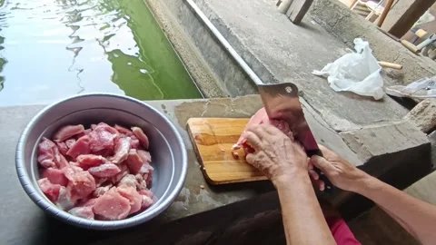 Man Cutting Fresh Beef by the Fish Pond with Green Surroundings in Daylight Stock Footage 287270107