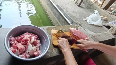 Man Cutting Fresh Beef by the Fish Pond with Green Surroundings in Daylight Stock Footage 287271449