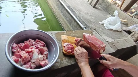 Man Cutting Fresh Beef by the Fish Pond with Green Surroundings in Daylight Stock Footage 287271936